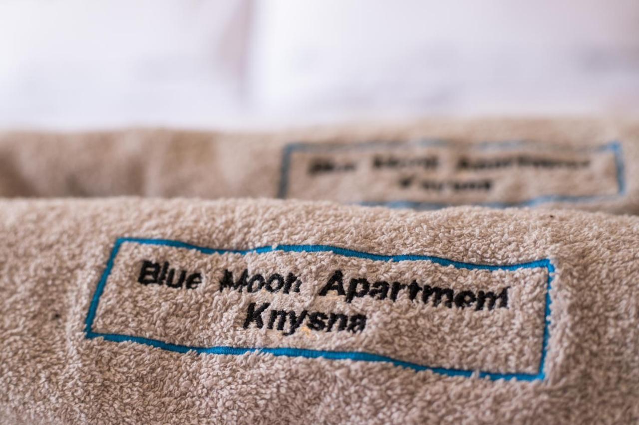 Blue Moon Apartments Knysna Extérieur photo